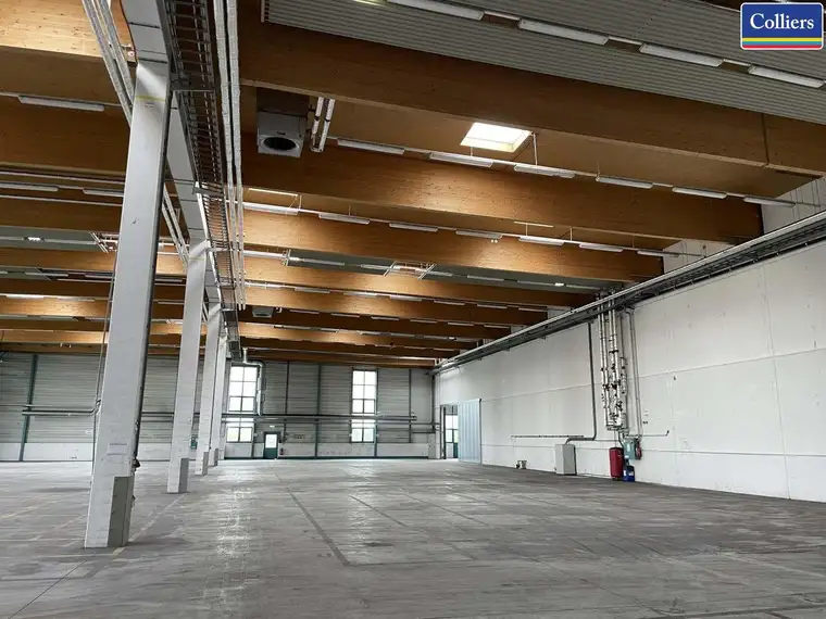 Hochwertige und vielseitig nutzbare Hallenfläche