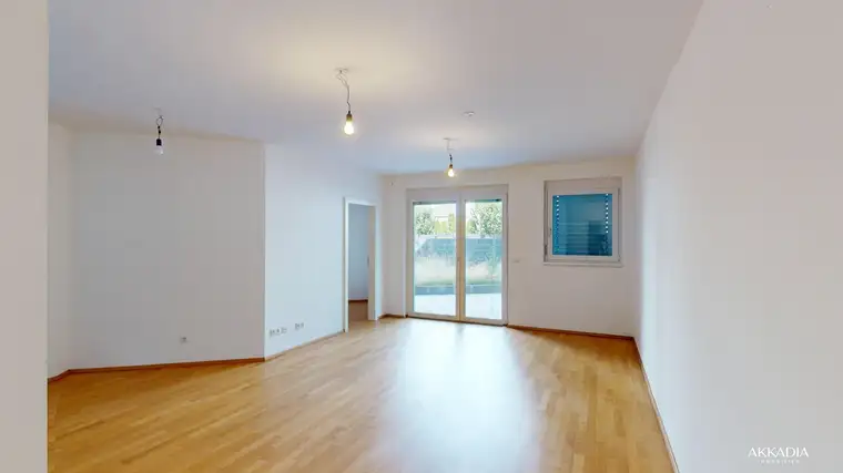 Constantin Müller-Tyl, AKKADIA Immobilienvermittlung GmbH