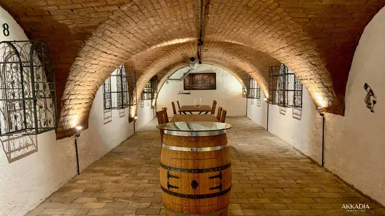 Traumhaftes Penthouse I Erstbezug I Kremsmünsterhof