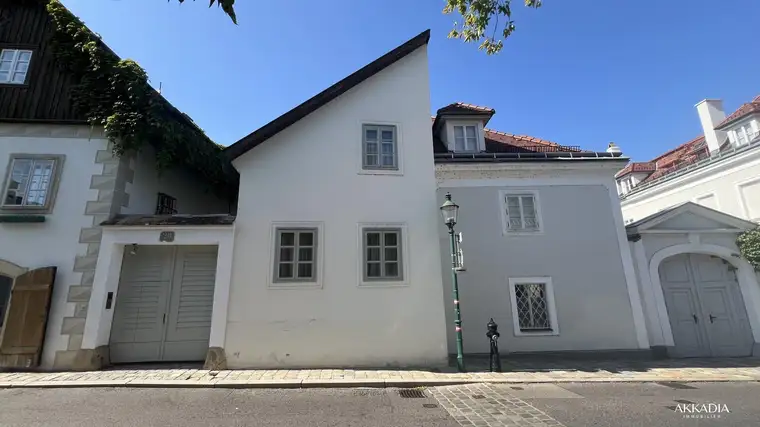 Constantin Müller-Tyl, AKKADIA Immobilienvermittlung GmbH