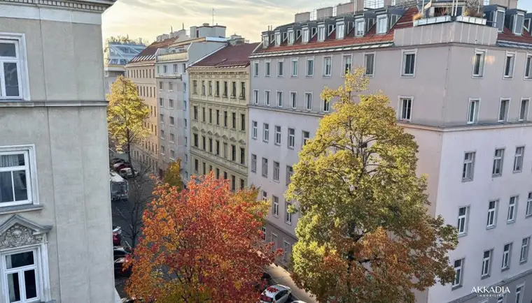 Elijah Euler-Rolle, AKKADIA Immobilienvermittlung GmbH