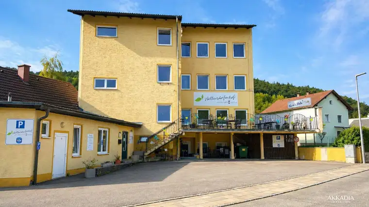 Niklas Zach, AKKADIA Immobilienvermittlung GmbH