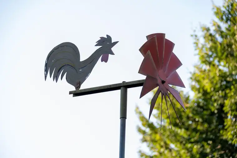 FAMILIENGLÜCK unter SCHWARZKIEFERN | Gewidmetes Baugrundstück im Zentrum von Velden am Wörthersee