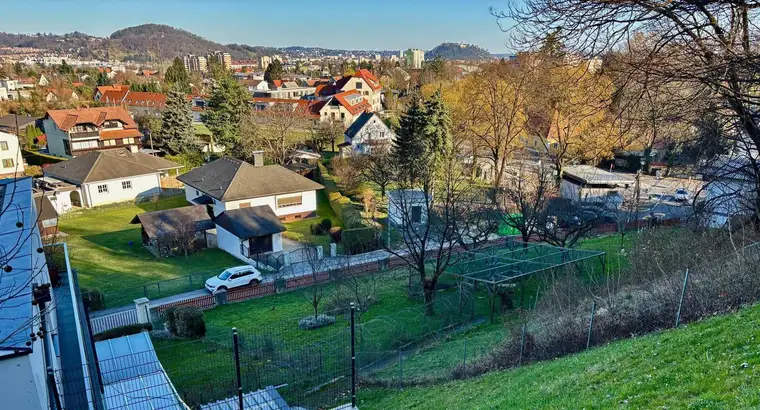 Camillo Thomas, THOMAS Immobilientreuhand GmbH