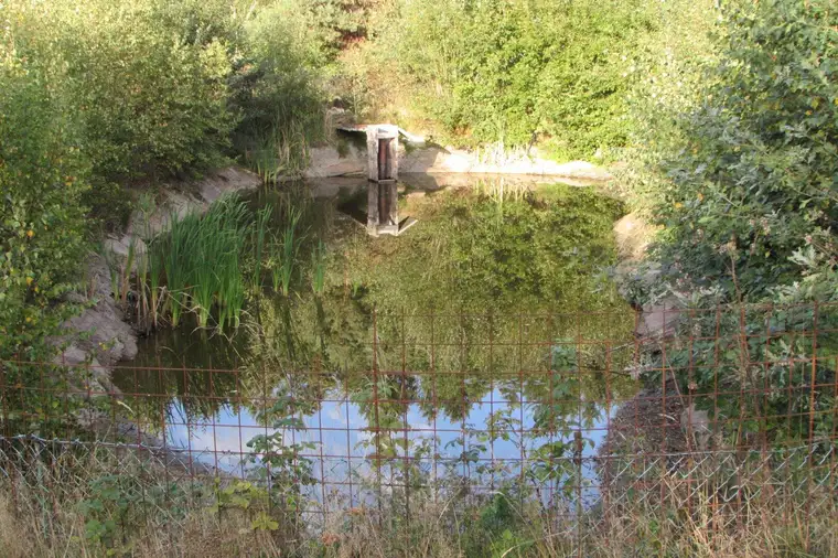 *****Grundstück mit 3 kleineren Fischteichen*****