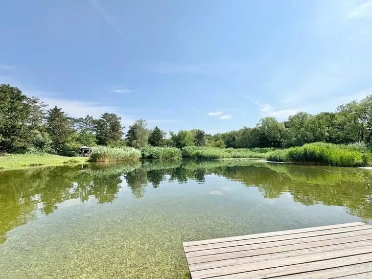 OPTIMALES BAUGRUNDSTÜCK | ca. 9.000 m² | BADETEICH | FRIEDRICHSHOF