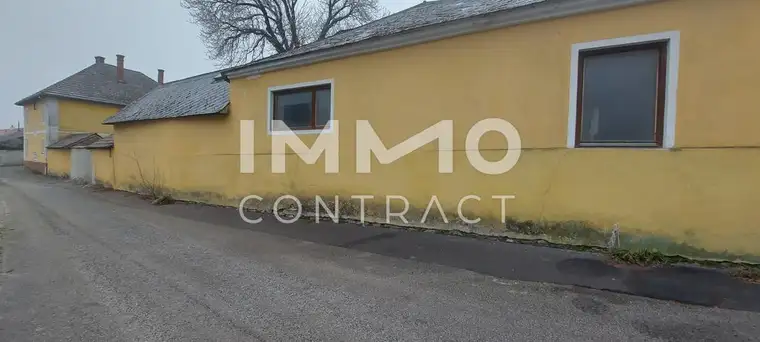 Emina Beganovic, IMMOcontract Immobilien Vermittlung GmbH