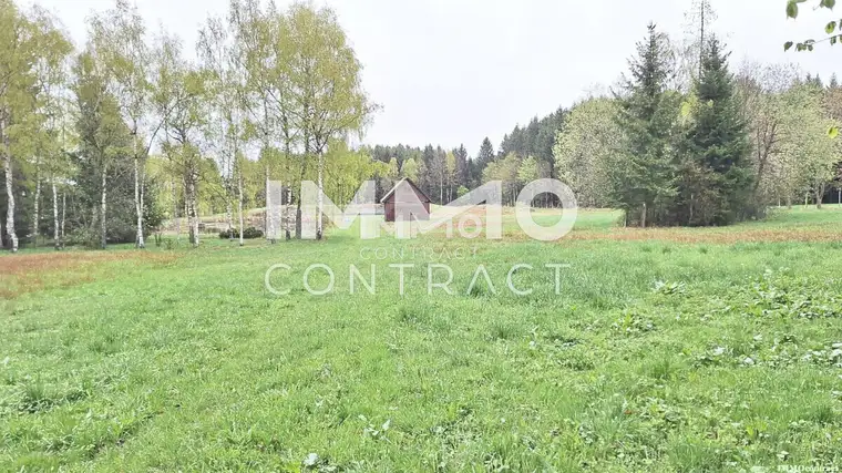 Großes Grundstück mit Fischteich und Badeteich, Erholungsanlage, Freizeitparadies mit viel Potenzial