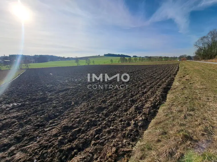 Schöne landwirtschaftliche Flächen in Neukirchen bei Lambach im Ausmaß von ca. 16.400 m²