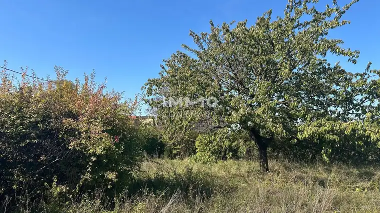 Sonniges, ebenes Baugrundstück in TOP Lage in St. Pölten/Wagram mit Altbestand