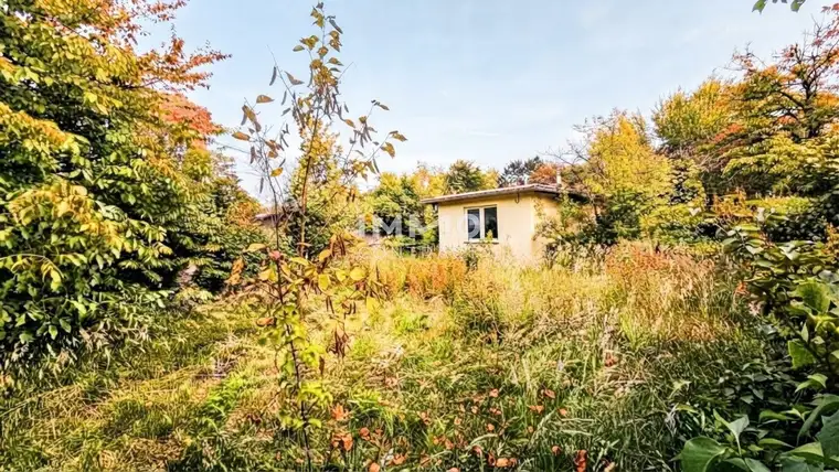 Gelegenheit! Platz für Wohnträume – großes, erschlossenes Grundstück mit Altbestand - für Familie oder Projektbau