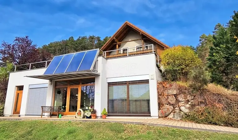 Traumhaus mit Praxis/Einliegerwohnung/Büro, Garage, PV - Weinkeller und Aussicht inklusive