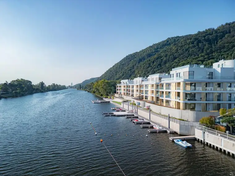 Tsvetilena Galabinova, IMMOcontract Immobilien Vermittlung GmbH