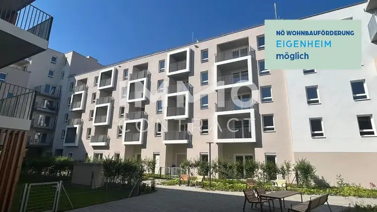 Christian Pichler, IMMOcontract Immobilien Vermittlung GmbH