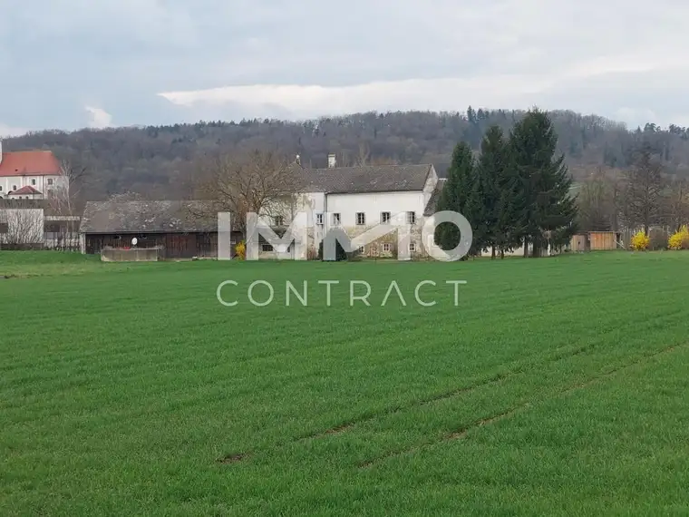 Ehemaliger Mühlhof mit Landwirtschaft!