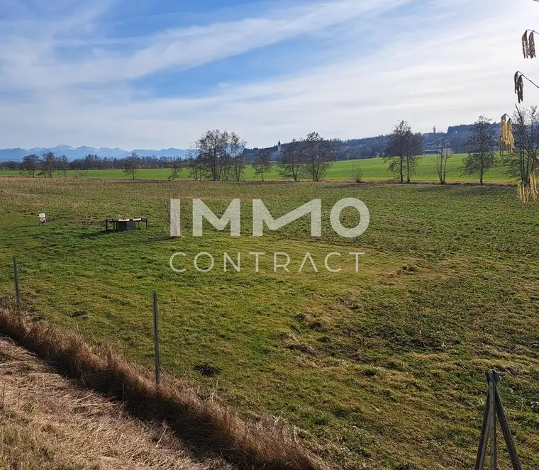 Schöne landwirtschaftliche Flächen in Neukirchen bei Lambach im Ausmaß von ca. 16.400 m²