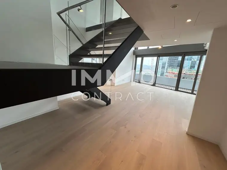 ERSTBEZUG: Attraktive Maisonettewohnung mit viel Platz für Individualität und Ausblick - DANUBEFLATS