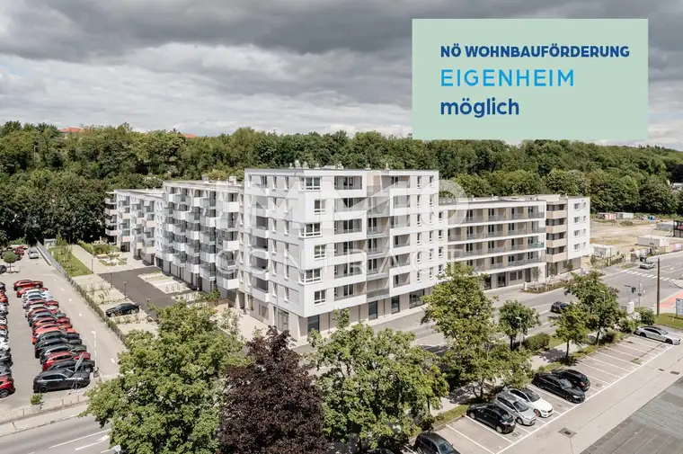 2 Zimmer Wohnung mit großer Terrasse!