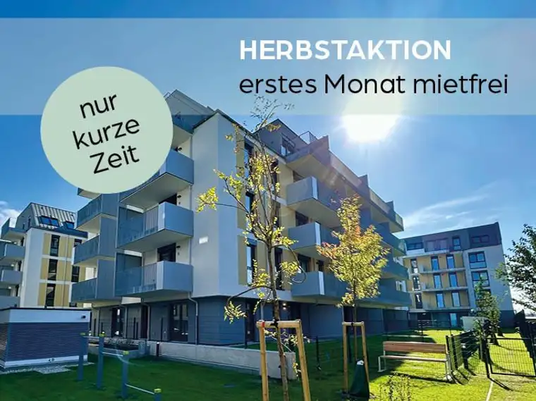 Michele Ancona, IMMOcontract Immobilien Vermittlung GmbH