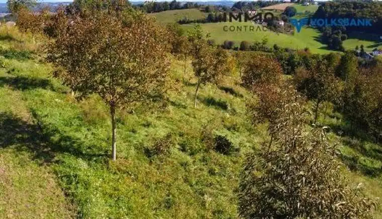 Traumlage mit Aussicht im sonnigen Südburgenland - Bauland mit Nussbaumplantage und Stadelgebäuden mit neuwertiger Stromanlage