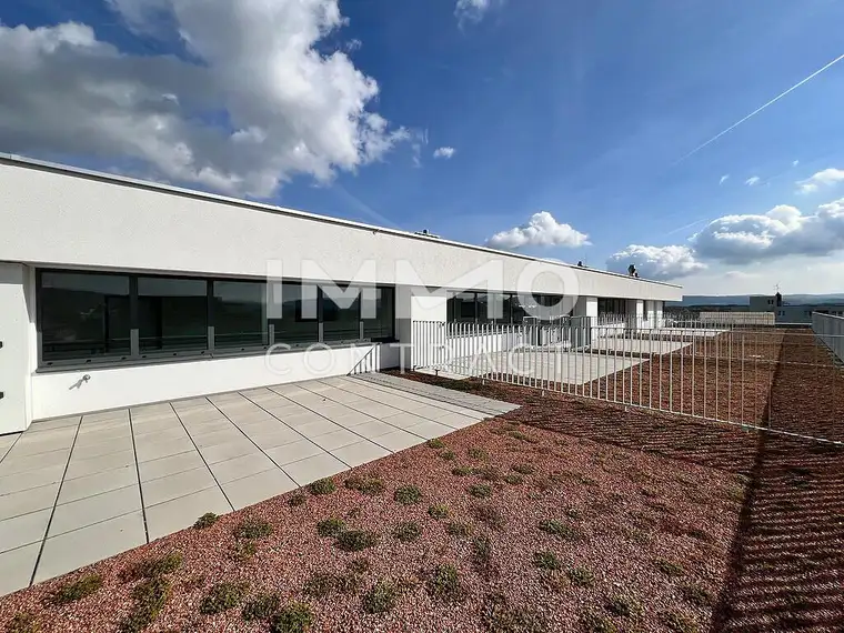 53,21qm 2ZI- Dachgeschosswohnung mit 19,55qm Terrasse, 30qm Gründach, und 14,07qm Balkon