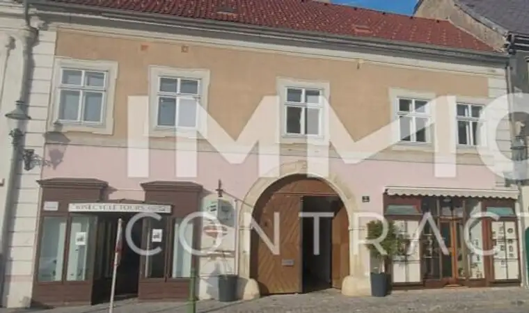 WOHN-UND GESCHÄFTSHAUS AUS DEM 16. JAHRHUNDERT IM HERZEN VON LANGENLOIS 100 m Kellerröhre, Nebengebäude, Innenhof, Geschäftslokale, usw.