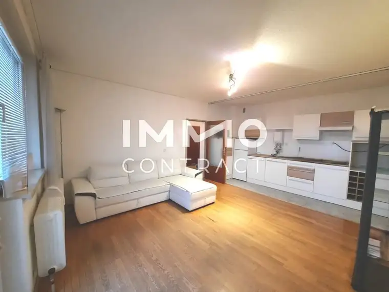 2-Zimmer mit Loggia &amp; Panoramablick - sofort einziehen, zentral in Wels