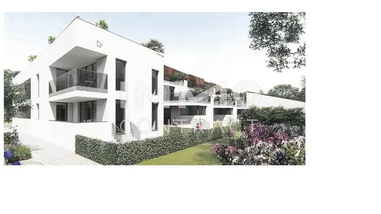 Roland Maly, IMMOcontract Immobilien Vermittlung GmbH
