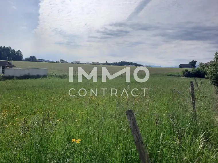 **Schönes sonniges Grundstück im Kurort Bad Hall**