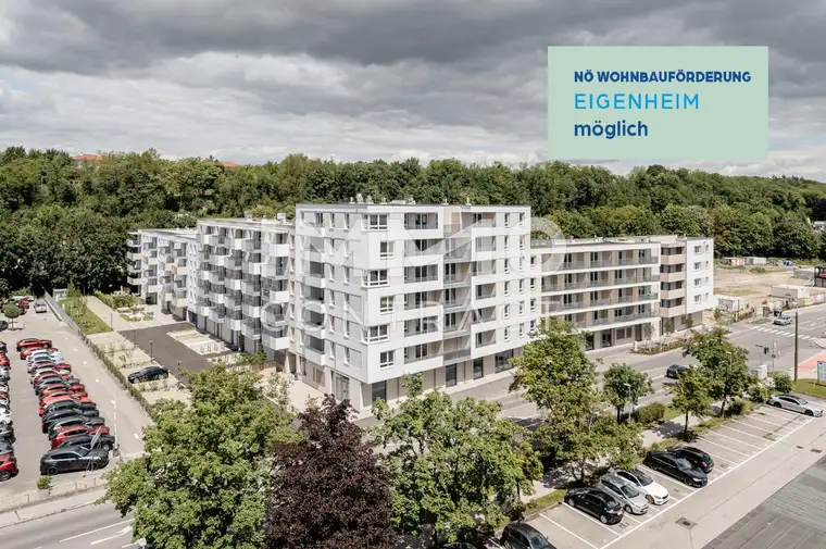 Starter Wohnung!
