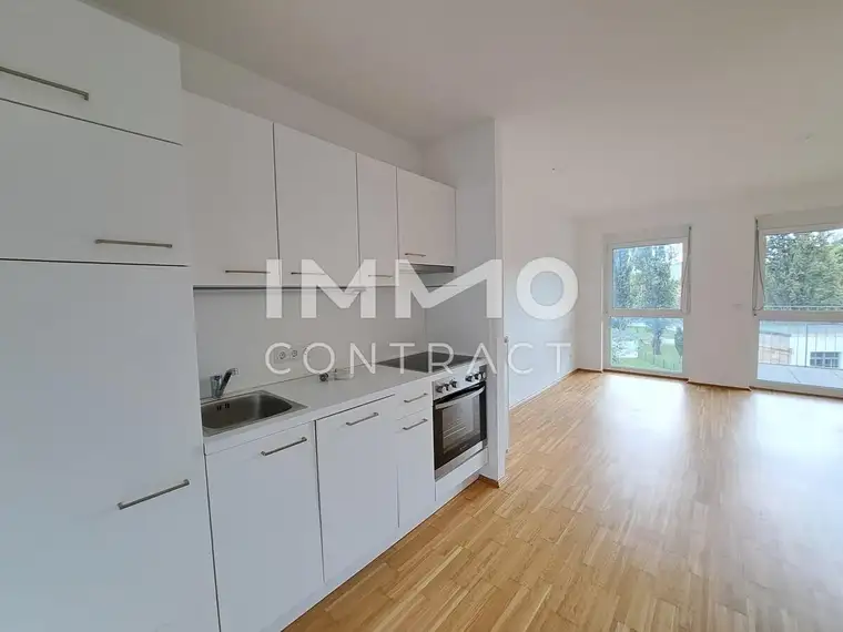 Garconniere mit Südwest- BalkonIdlhofgasse 48, Top 30