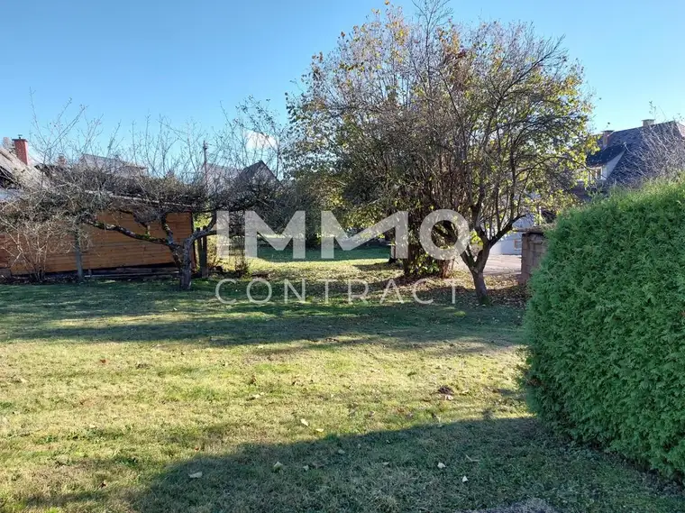 SCHÖNER BAUGRUND IN RAGNITZ DICHTE 0,6 MIT ALTBESTAND NAHE LKH