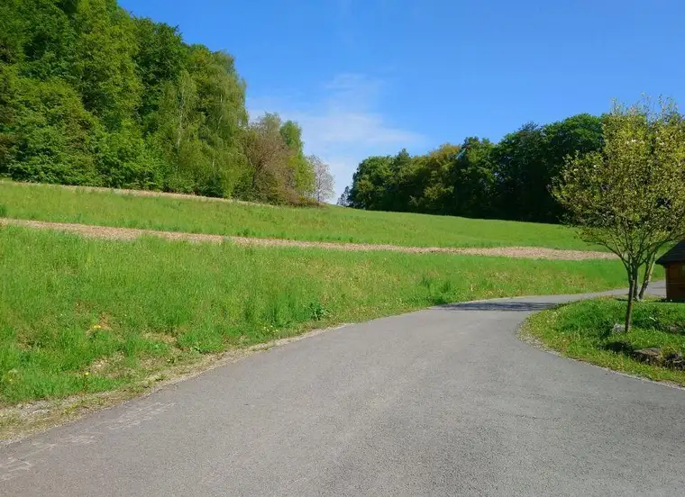 Wunderschönes Baugrundstück in traumhafter Lage!