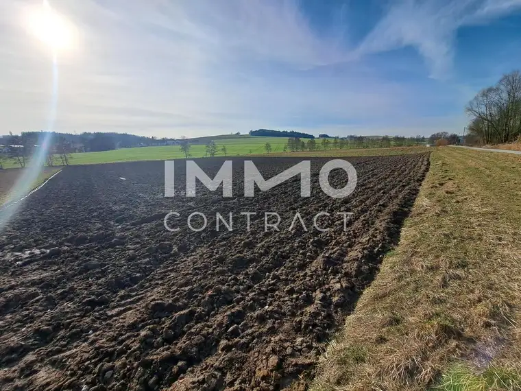 Schöne landwirtschaftliche Flächen in Neukirchen bei Lambach im Ausmaß von ca. 16.400 m²