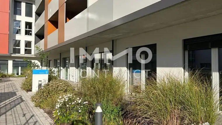 Reinhard Birgsteiner, IMMOcontract Immobilien Vermittlung GmbH