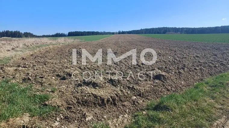 Landwirtschaftliche Ackerfläche 1,98 ha in Waldviertel - Raum Zwettl