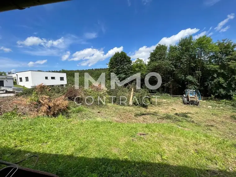 Rares Grundstück in Buchkirchen - Höhenweg