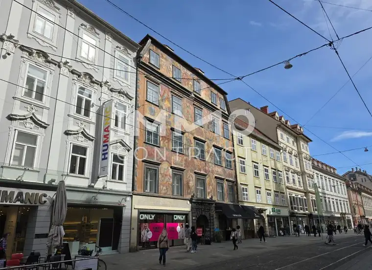 Geschäftsfläche in zentraler INNENHOFLAGE / Herrengasse 3 / Top 505