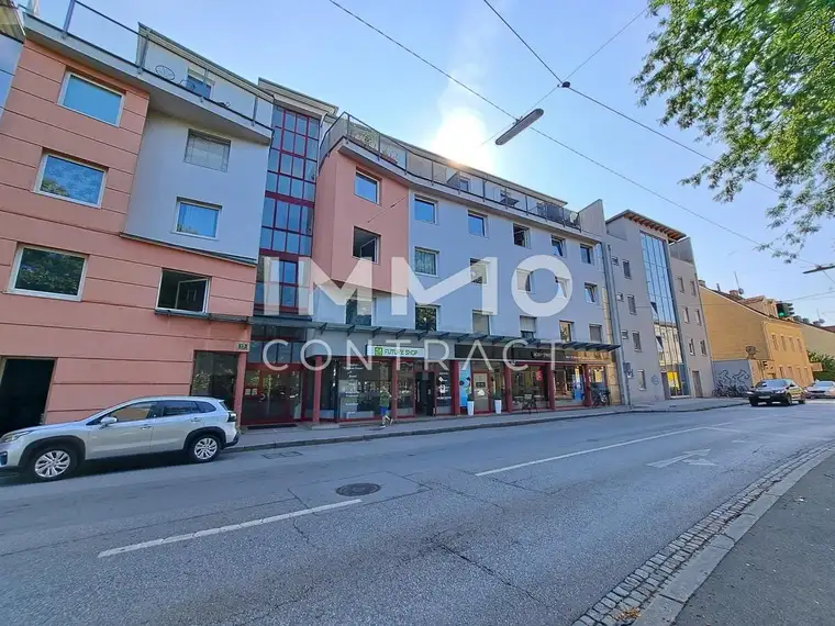 Dachterrassen- Kleinwohnung bei der Neuen Technik- Petersgasse 15-17, Top 28