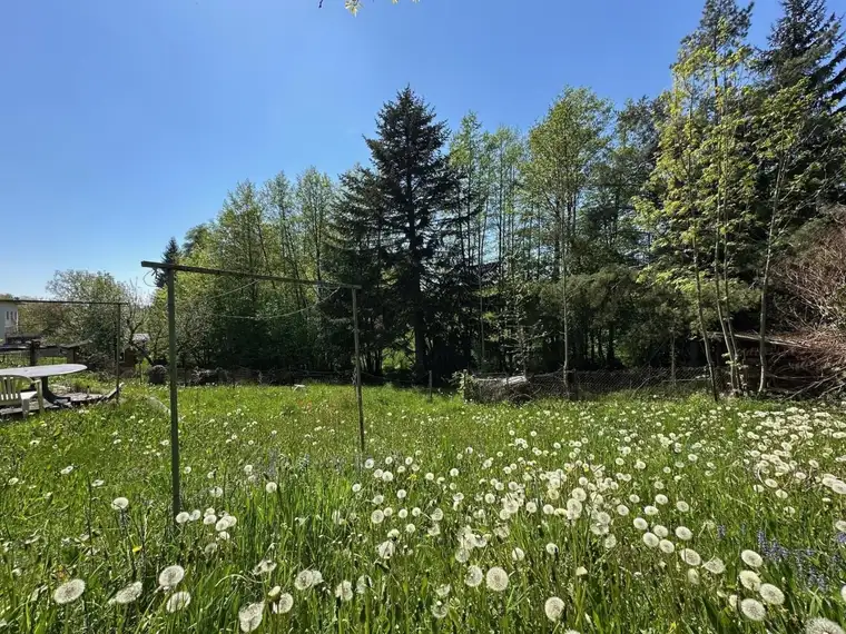 WALDING: Baugrundstück ca. 1020 m² (mit Altbestand) in sehr guter und begehrter Lage