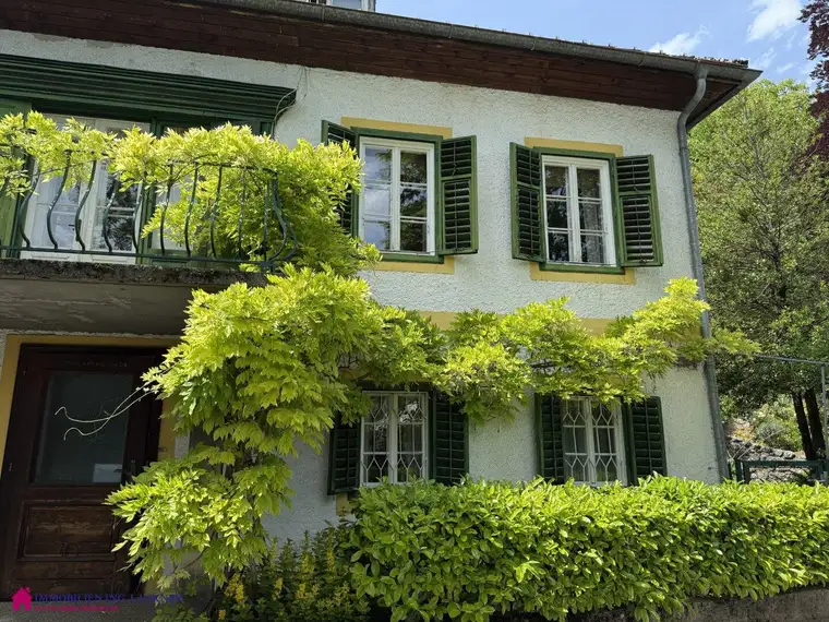 Eine Gartenvilla im Salzkammergut - im schönen Bad Ischl!