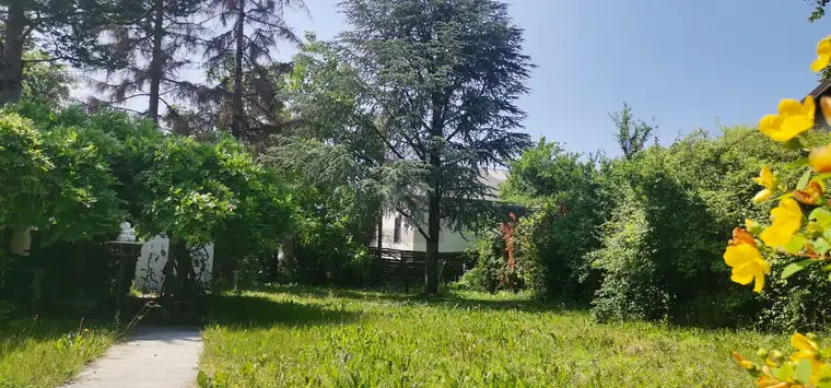 SOMMERGENUSS IM GARTEN - VERKEHRSBERUHIGTE LAGE