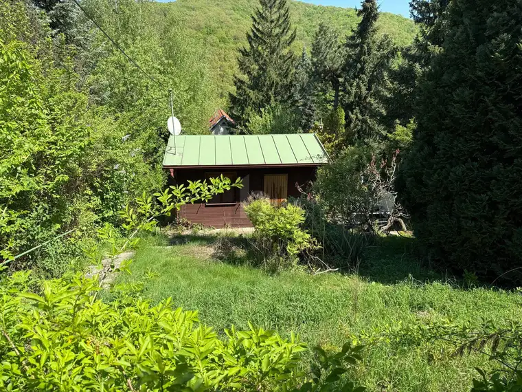 TOLLE FLÄCHE AM WOLFERSBERG MIT KLEINEM FERIENHAUS