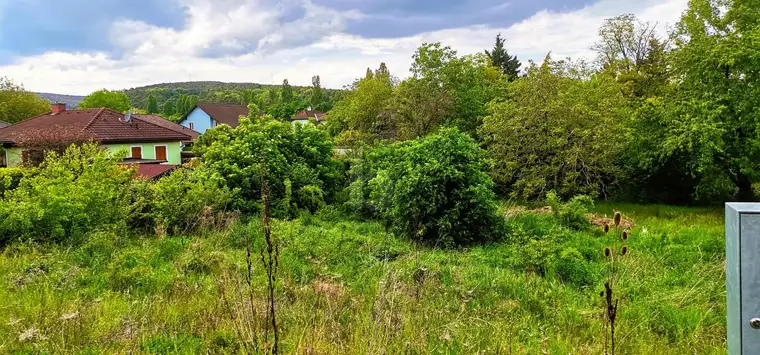 WEITBLICK INS GRÜNE - VON VILLA BIS ZWEI DOPPELHÄUSER MÖGLICH