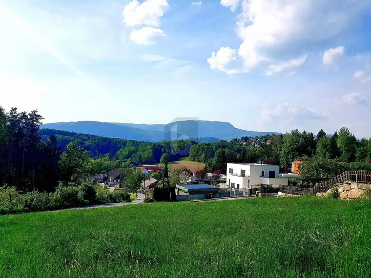 EXKLUSIV IN BEGEHRTER LAGE