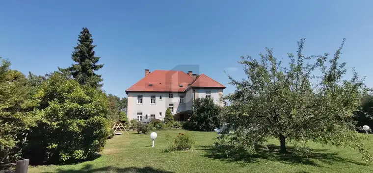 Elisabeth Schönleitner, BETTERHOMES Real GmbH