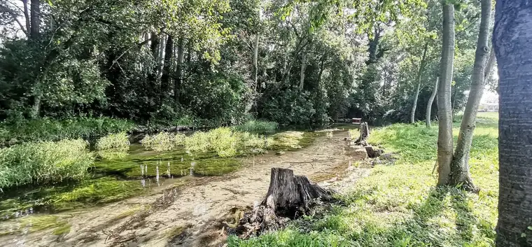 EXKLUSIVE RUHELAGE DIREKT AM WASSER