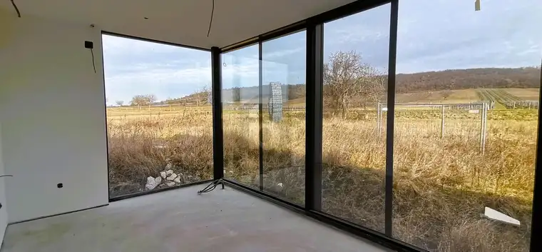 PANNONISCHE EXKLUSIVITÄT IN GLAS - MIT POOL UND POOLHAUS