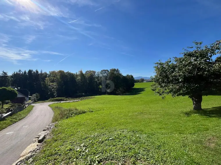 SELTENE GELEGENHEIT: BAUGRUND OHNE BAUZWANG ? UNVERBAUBARE AUSSICHT, SONNIGER SÜDHANG &amp; TOP-WERTANLAGE