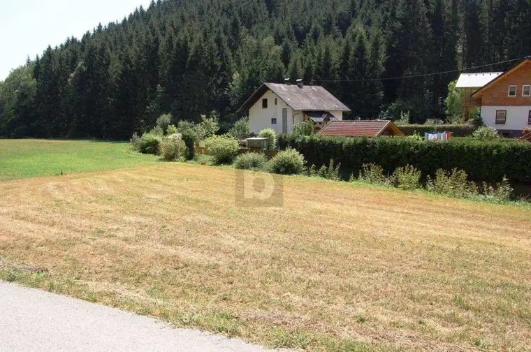 BAUGRUND IN RUHIGER LAGE